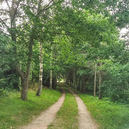 Nyaraló Stunning In With Wifi Pieniężno