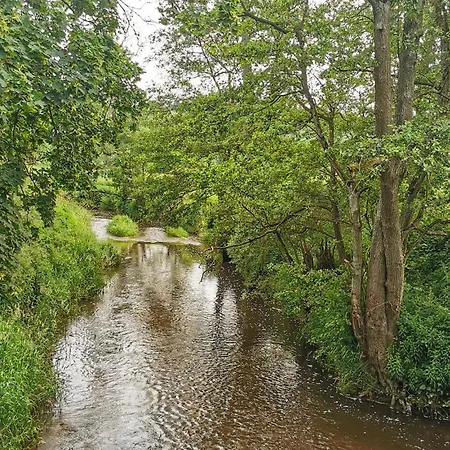 Stunning In With Wifi * Pieniężno